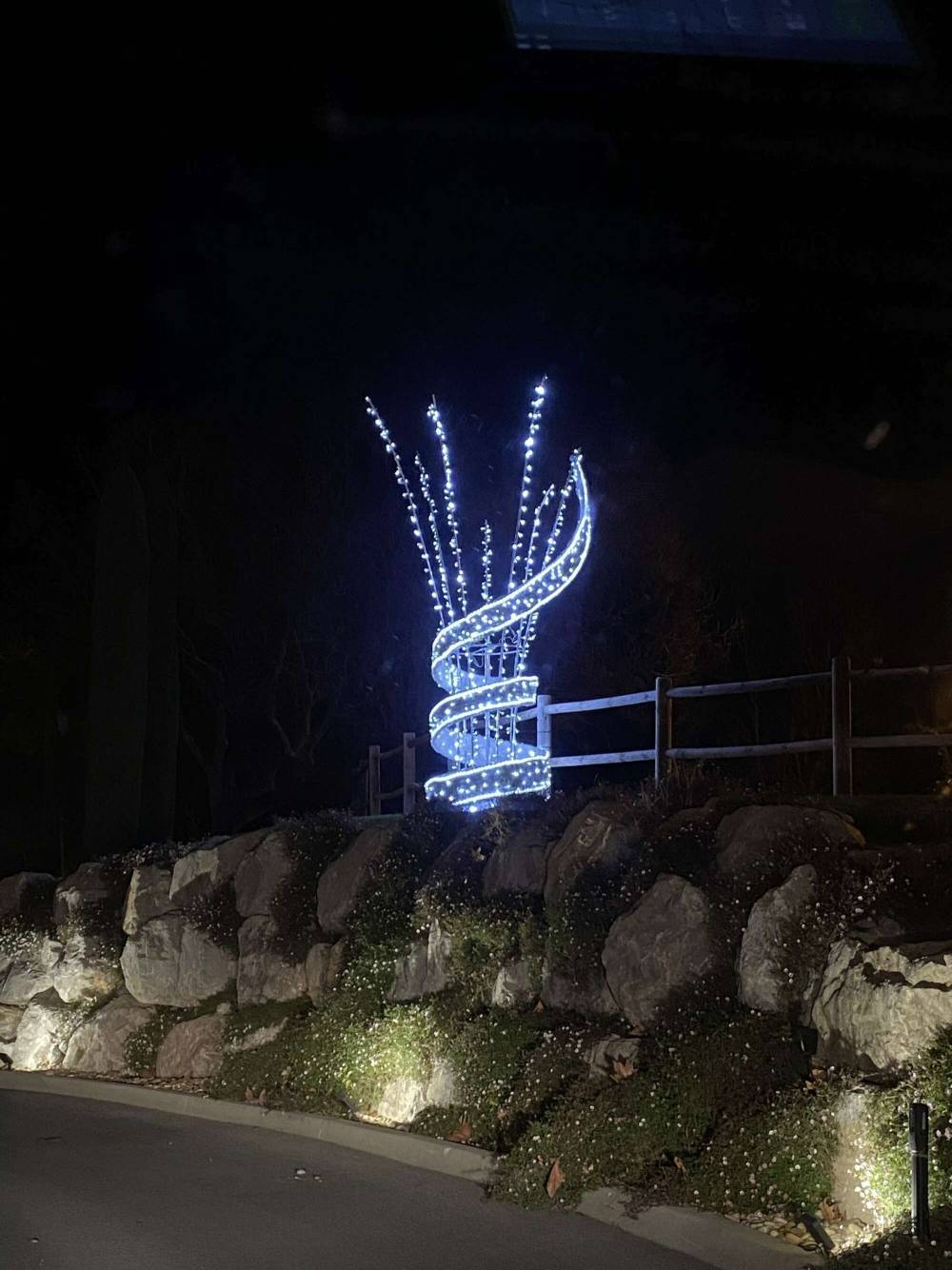 Illumination arbre